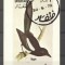 Dhufar 1972 Birds, mini imperf.sheet, used AI.016