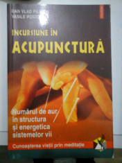 INCURSIUNE IN ACUPUNCTURA - Dan Vlad Filimon; Vasile Postolica foto