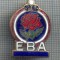 AX 350 INSIGNA BOWLING- ,,E.B.A.&quot;- ELITE BOWLING ASSOCIATION