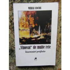 Mihai Cocoi - &bdquo;Vinovat&rdquo; de multe rele. Insemnari prafuite AUTOGRAF