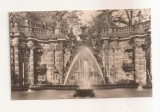 FA140 -Carte Postala- GERMANIA - Dresden. Nymphen im Zwinger, necirculata