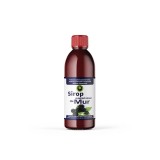 SIROP DE MUR CU ZAHAR 500ML, Hypericum