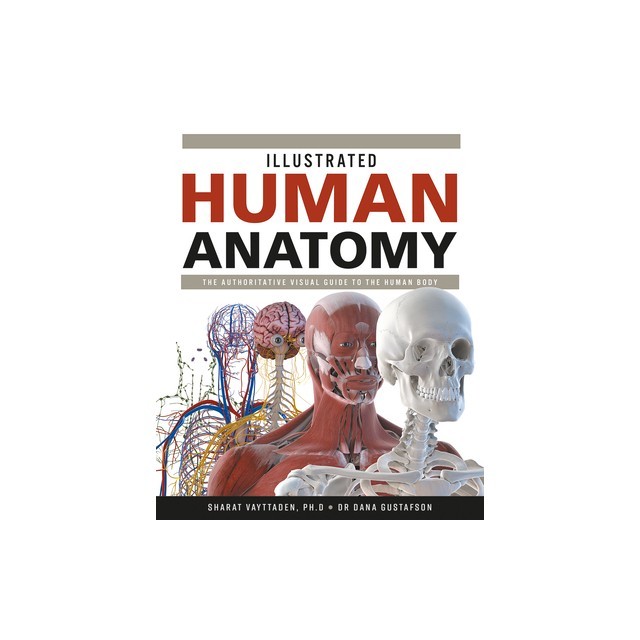 Illustrated Human Anatomy