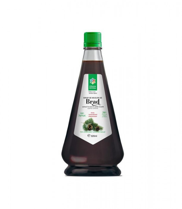 Sirop de Brad 520ml Santo Raphael