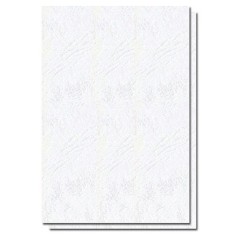 Coperti Indosariere EVOffice din Carton Tip Imitatie Piele A3, Culoare Alb, 250 g/m?, 100 Coli/Top - Accesorii Indosariat foto