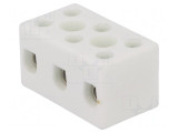 Regletă de Conexiuni cu Șurub 10mm2 450V 57A