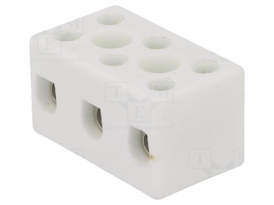Regletă de Conexiuni cu Șurub 10mm2 450V 57A foto
