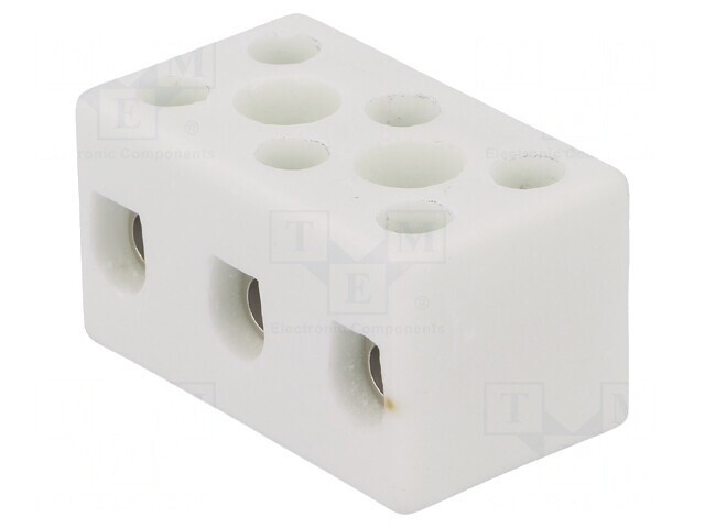 Regletă de Conexiuni cu Șurub 10mm2 450V 57A