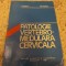 Patologie vertebro-medulara cervicala