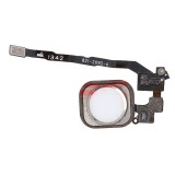 Buton Meniu + Flex iPhone 5S Alb / White - Piese Schimb Telefon Apple