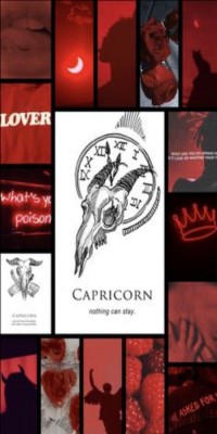 Husa Personalizata XIAOMI Pocophone F1 Capricorn foto