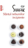 Sfantul nebuniilor incipiente | Elif Shafak, Polirom