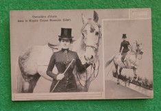 Carte postala Circul Regal Sidoli din Bucuresti foto