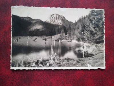 1939-C.P.-Lacul Rosu-Rara foto