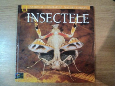 INSECTELE , ALBUM foto
