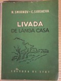 N. Smirnov - Livada de langa casa