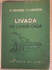 N. Smirnov - Livada de langa casa