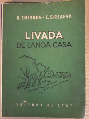 N. Smirnov - Livada de langa casa foto