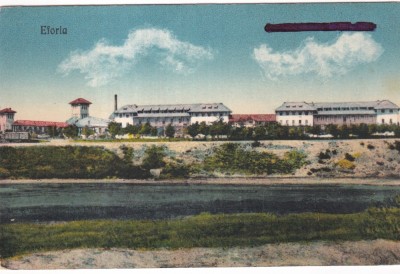 Eforia (scrisa 1935) foto