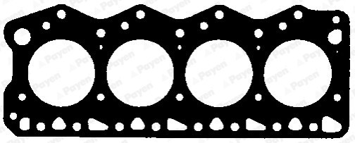 PAYEN AY581 Garnitura, chiulasa