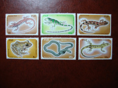 FIJI SERIE REPTILE MNH - foto