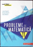 PROBLEME DE MATEMATICA, CLASA A XI-A-LUCIAN DRAGOMIR, ADRIANA DRAGOMIR, OVIDIU BADESCU-357665