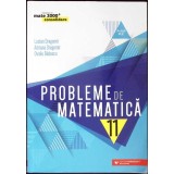 PROBLEME DE MATEMATICA, CLASA A XI-A-LUCIAN DRAGOMIR, ADRIANA DRAGOMIR, OVIDIU BADESCU-357665