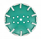 Disc cu segmenti diamantati pt. slefuire pardoseli - segment dur - Verde - 250 mm - prindere 19mm - DXDY.8500.250.23, Oem