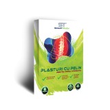 Plasturi cu pelin pentru dureri lombare, 6 bucati, Smart Touch