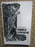 Duminica lucrurilor - Vasile Baran