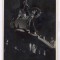 312 - CLUJ, Statue Matei Corvin, night - old postcard, real PHOTO - used