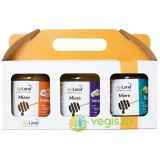 Pachet Miere (Salcam + Tei + Poliflora) 3 x 500g