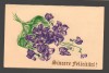 CPIB 20176 FELICITARE - VIOLETE