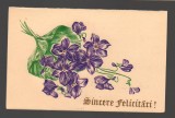 CPIB 20176 FELICITARE - VIOLETE