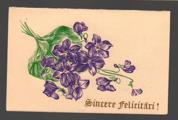 CPIB 20176 FELICITARE - VIOLETE