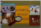 Alfabetul micului arheolog &ndash; Adelina Stoenescu - Carte, Manual scolar