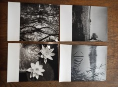 DELTA DUNARII- LOT 4 FOTOGRAFII- , REALIZATE DE VASILE SENCU, 1967