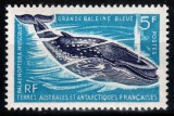 Teritoriile Antarctice Franceze TAAF 1966, Mi #36**, fauna, balena, MNH! Cota 25 &euro;!