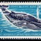 Teritoriile Antarctice Franceze TAAF 1966, Mi #36**, fauna, balena, MNH! Cota 25 &euro;!
