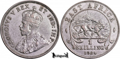 1924, 1 Shilling - George al V-lea - Africa de Est Britanică | KM 21 foto