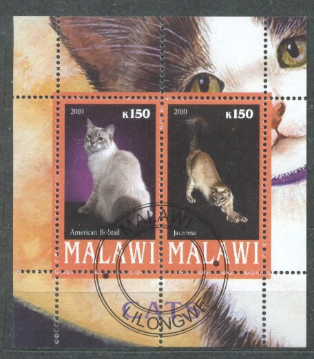 Malawi 2010 Cats, perf.sheetlet, used T.035