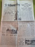 ziarul romania libera 17 mai 1988 - articol judetul constanta