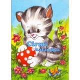 Cirmi kalandjai - Radv&aacute;ny Zsuzsa