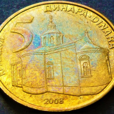 Moneda 5 DINARI / DINARA - SERBIA, anul 2008 * cod 3394 = A.UNC