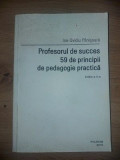 Profesorul de succes: 59 de principii de pedagogie practica- Ion-Ovidiu Panisoara