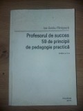 Profesorul de succes: 59 de principii de pedagogie practica- Ion-Ovidiu Panisoara