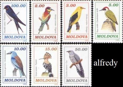 MOLDOVA 1993, Fauna - Pasari, serie neuzată, MNH foto