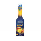 Piure de Mango Fabbri MixyFruit, 1.3 Kg, Fabbri MixyFruit Mango, Sos de Mango, Pulpa de Mango, Sos Mango, Pulpa Mango, Piure Mango Fabbri MixyFruit, P