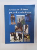 CUM SA AVEM PICIOARE PUTERNICE SI SANATOASE de HENRI MILCHSTEIN , 2006