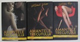 SERIA AMANTELE TRECUTULUI , VOLUMELE I - III de ALEXANDRA GHEORGHE , 2017